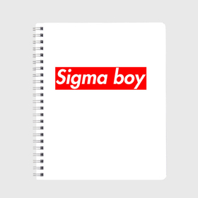Тетрадь с принтом A real sigma boy merch meme надпись из песни в тиктоке в Ухте, 100% бумага | 48 листов, плотность листов — 60 г/м2, плотность картонной обложки — 250 г/м2. Листы скреплены сбоку удобной пружинной спиралью. Уголки страниц и обложки скругленные. Цвет линий — светло-серый
 | 